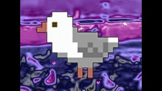 Silver Gull