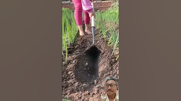 Dụng cụ xới đất và lên luống cho cây rau #farming #shorts