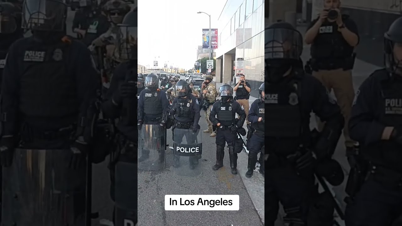 In Losangeles At The Iceraids Protest 