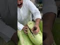 جح الساحل