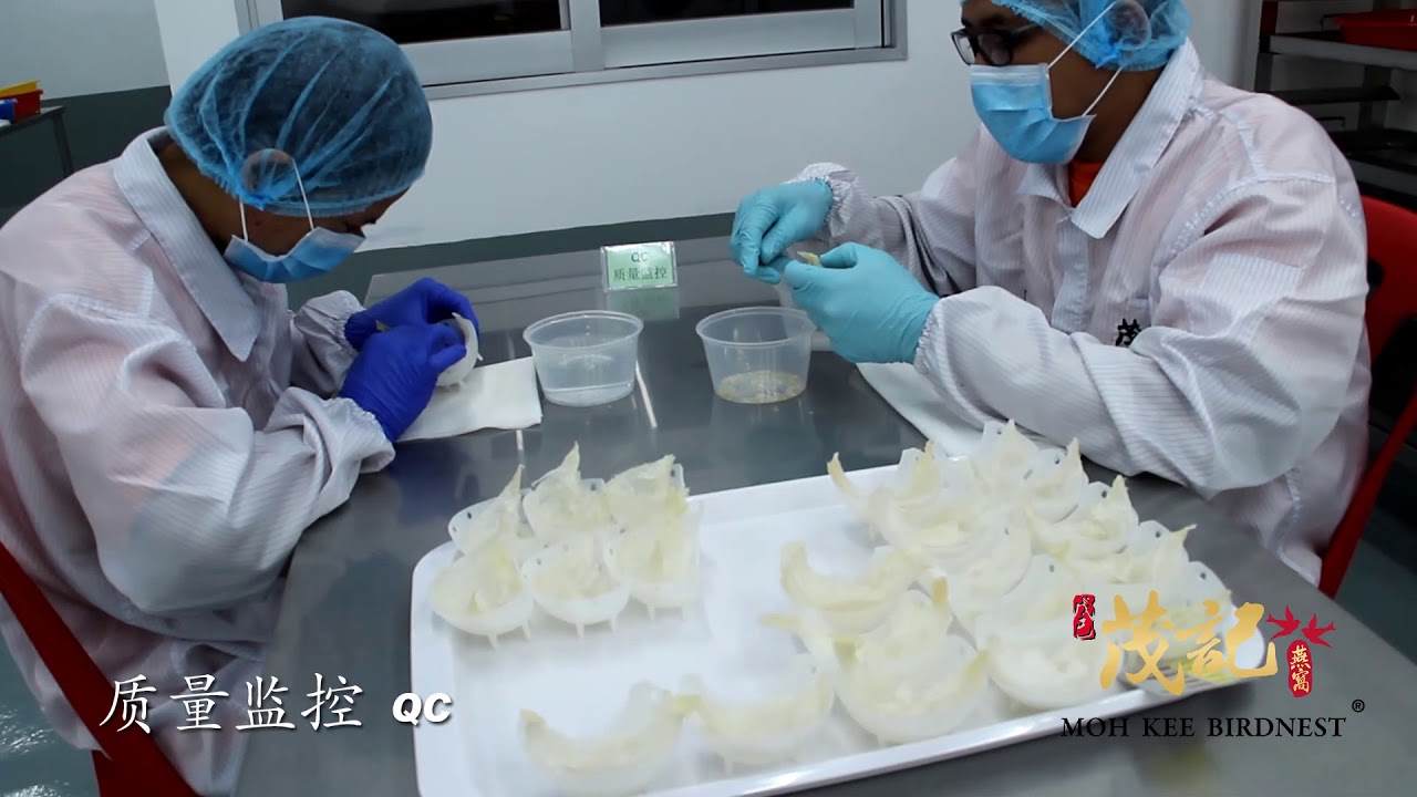 茂记燕窝 - 溯源码燕窝加工程序