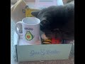 UNBOXING WELLNESS KITTY - GUS & BELLA BOX