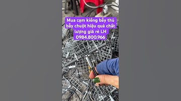 Mua cạm kiềng bẫy thú bẫy chuột hiệu quả chất lượng giá rẻ LH 0984.800.966