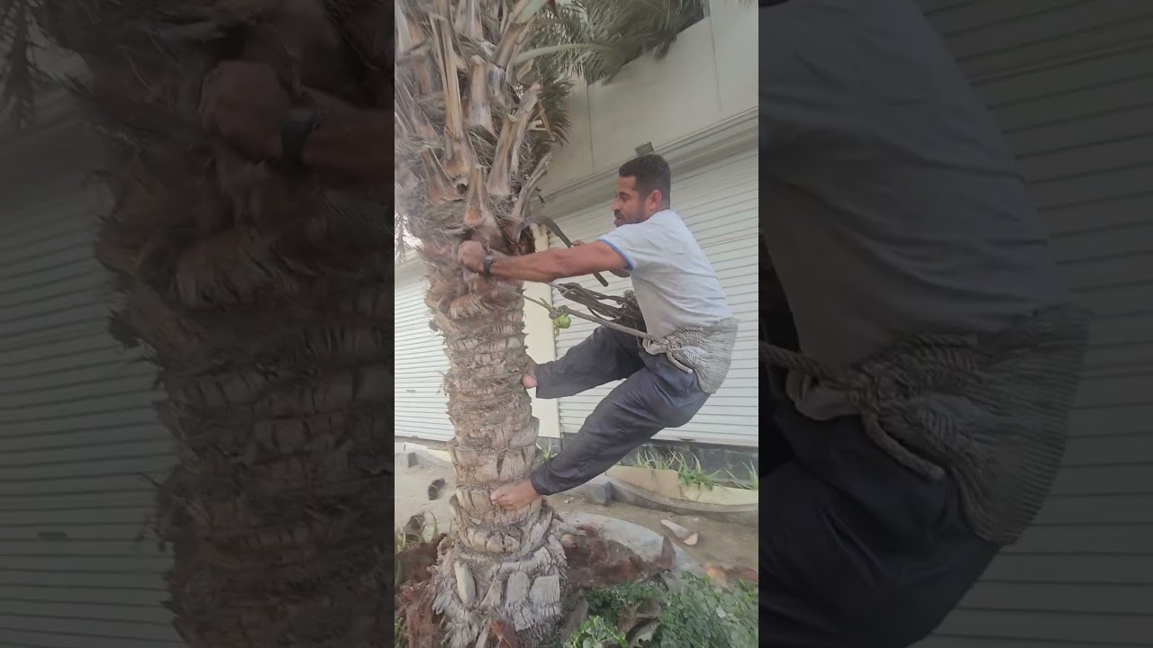 ٢٤ أكتوبر ٢٠٢٣