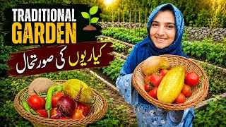 Growing Food in Our Mountain Village π
π½β Traditional Garden Beds Update π± π| Farming Vlog | Gilgit