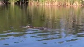 Kayak Fishing Everglades National Park.