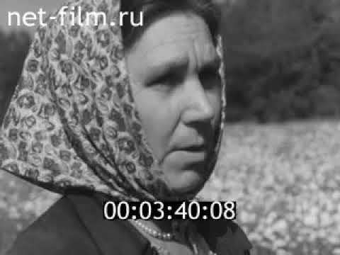 КИНОЖУРНАЛ НАШ КРАЙ  июль 1965 № 35