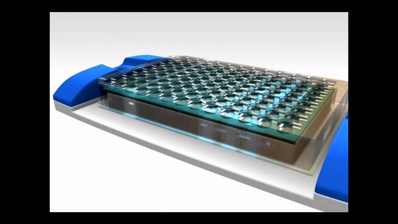 ELISA Kits - Optimax(TM) ELISA