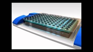 ELISA Kits - Optimax(TM) ELISA