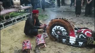 Live Kalapan PJR Putro Jambe Rejo, #kudalumping #bantengan