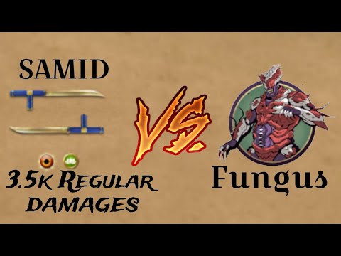 SAMID VS FUNGUS || [Private server] || 3.5k regular damege by tonfas⚡🔥 ...