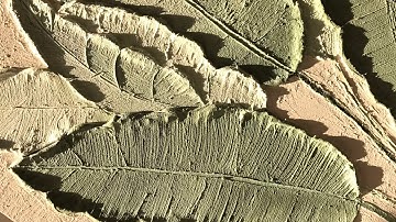 Green banana leaves 3D Texture painting | DIY wall art decor | Nazzy art Tutorial