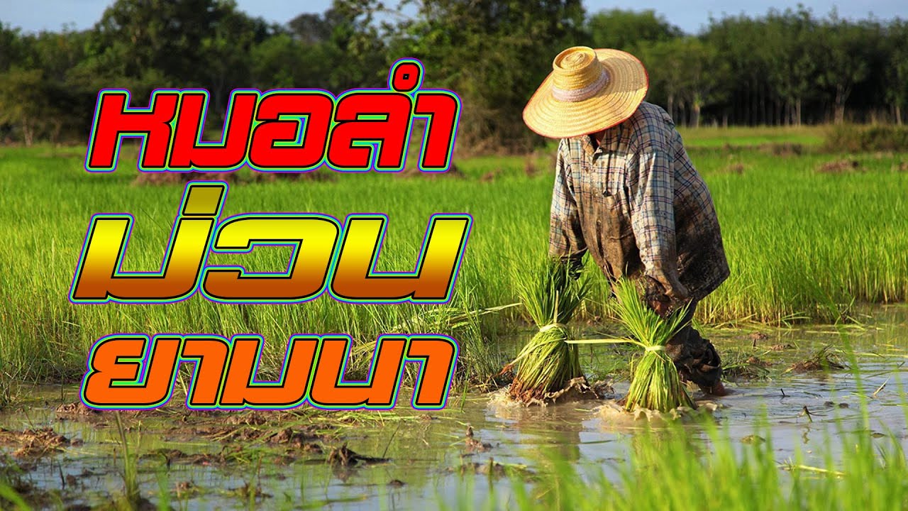 หมอลำม่วน ฟังยามทำนา