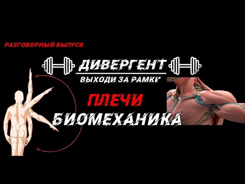 ПЛЕЧИ И БИОМЕХАНИКА