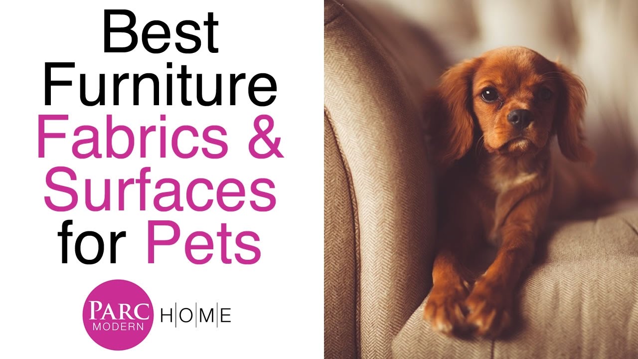 Best Furniture Pet Protection Review Parc Modern Home Youtube