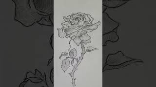 I tried to sing 'Gira gira' by Ado