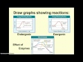 Enzymes and Energy Quiz