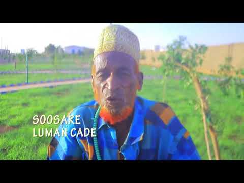 Gabaygii Naag Xun Wax Kaxun Majiro