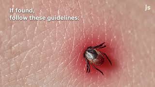 What to do if you get a tick during the summer, prevention tips