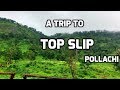 Top Slip / A Trip to Top Slip Pollachi / Parambikulam Tiger Reserve