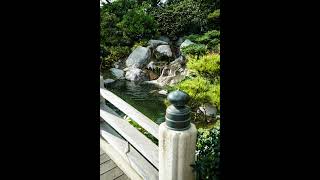 View. Earl Burns Miller Japanese Garden, CSULB, Long Beach, California