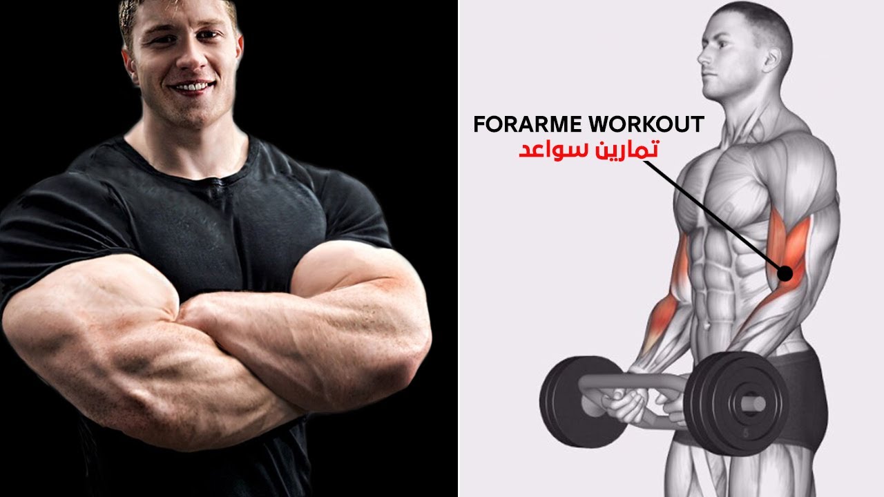 أقوى 5 تمارين الساعد تعريضيها بهذه تمارين سهلة Best Forearm Workout Youtube