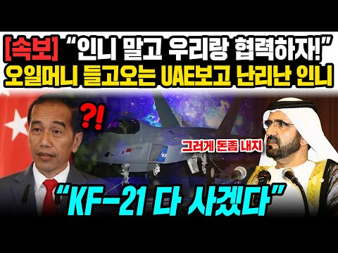 [해외반응] 속보 &amp;quot;인니 말고 우리랑 <strong>협력하자</strong>&amp;quot; 오일머니 들고오는 UAE보고 난리난 인니 KF-21 다 사겠다 #일본반응 #해외반응 #외국반응 #중국반응