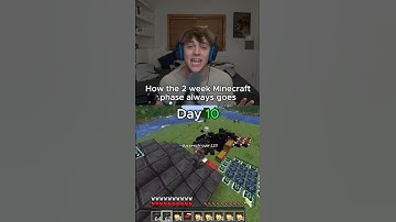 How the 2 week Minecraft phase always goes: