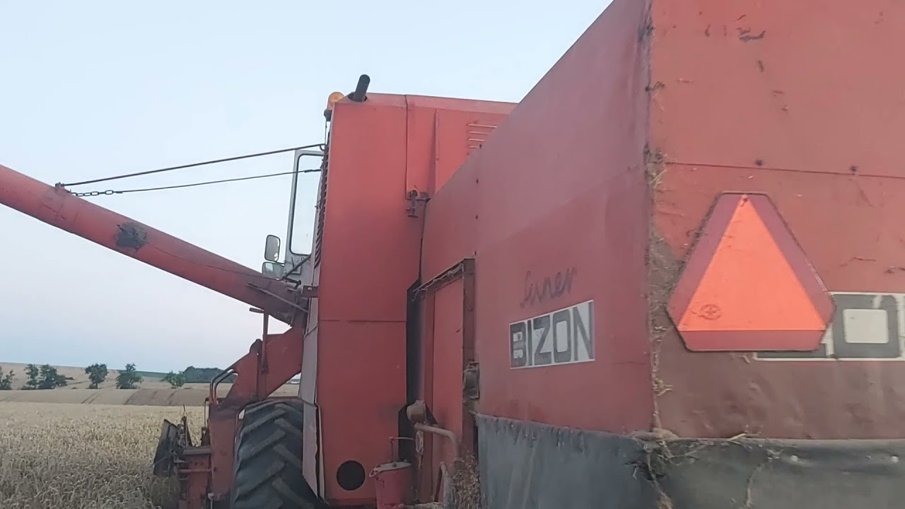 Bizon z056 ratuje żniwa i walczy w pszenicy 10t/ha