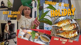 Sunday Routine | Household Chores | Busy Working Mom #goanvlogger