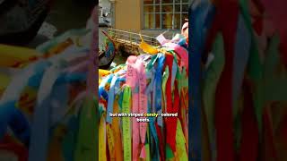 Worlds Most colorful Destinations!  HD