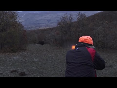 Harika Bir Domuz Avı Ekip İşi - ÇORUM / Perfect Action Wild Boar Hunting