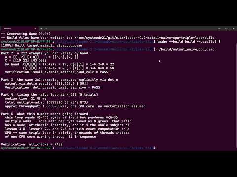 Lesson 2.2 :Naive Matrix Multiplication in C++ | Triple Loops, Dot Products & O(N³) Explained