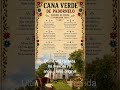 Cana Verde de Padornelo Short