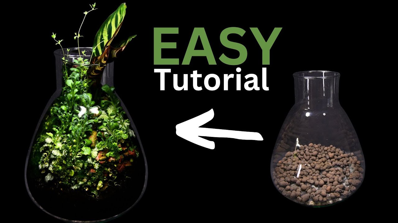 Terrarium Tutorial How to Make a Plant Terrarium for 0$ (EASY Tutorial) - YouTube
