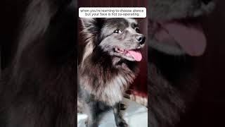 When My Face Is Not Cooperating