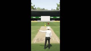 Don Bradman Cricket 17 Glitch