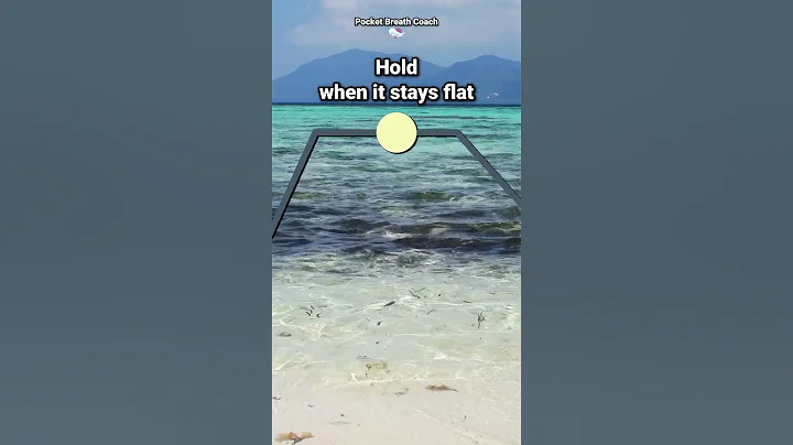 Breathwork for Parasympathetic Nervous System | 4-7-8 Breathing Exercise