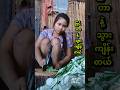 လက်မြန်ချက်ပဲ