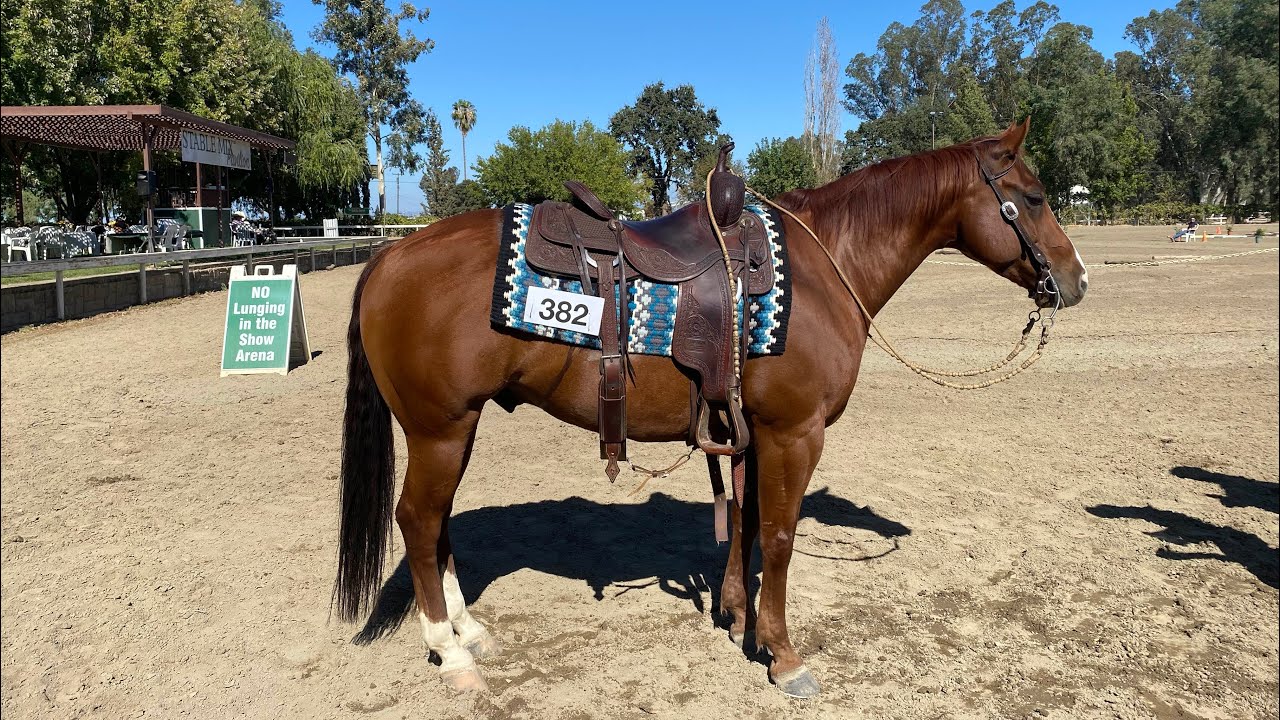 AQHA Ranch Riding Pattern 3 Score 78 5 10 1 22 YouTube