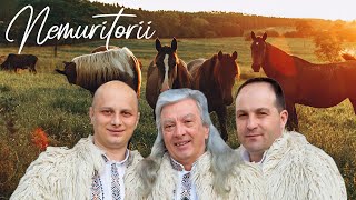 NEMURITORII - Muzica de Petrecere si Voie Buna 2020 | Colaj Video