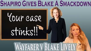 Shapiro Gives Blake a Smackdown in Response to Her Opposition to the Motion for Summary Judgment