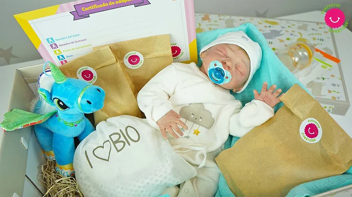 Te enseo cmo preparo la caja de Zinny mi beb Rebor...