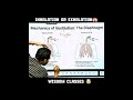 IMPORTANT OF DIAPHRAGM BY DANISH SIR 💯 #cbseclass10 #class10science #physicswallah #electriccurrent