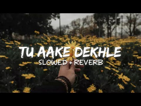 Tu Aake Dekhle (Slowed + Reverb)