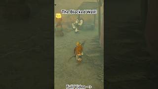 The Blocked Well #gaming #nintendo #games #zelda #tearsofthekingdom #shorts #livegamingparadise