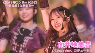 AKB48 - Everyday、カチューシャ Everyday, Kachuusha ~ AKB48 Spring Concert 2023 (Mukaichi Mion Center)