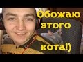 Донской Сфинкс Жорик! Игривый котенок.  Домашний архив.[#Донской сфинкс]