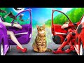 Ladybug vs Vampir! Kami Menyelamatkan Kucing Kecil! Tips Rahasia Untuk Pemilik Peliharaan!