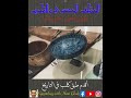 أقدم طوق كلب طبق كلب وعطر كلب في التاريخ اعداد وتعليق هاني غالي